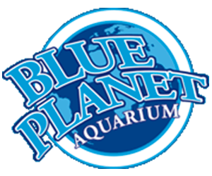 Blue Planet Aquarium
