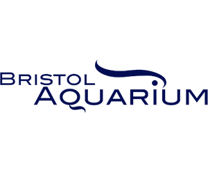 Bristol Aquarium