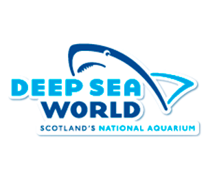 Deep sea world