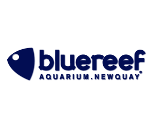 Blue Reef AQUARIUM Newquay