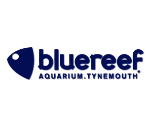 Blue Reef AQUARIUM Tynemouth